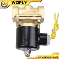 2w-160-15 1/2 inch brass water solenoid valve with timer for irrigation AC220v/110v/24v DC24v/12v normally closed